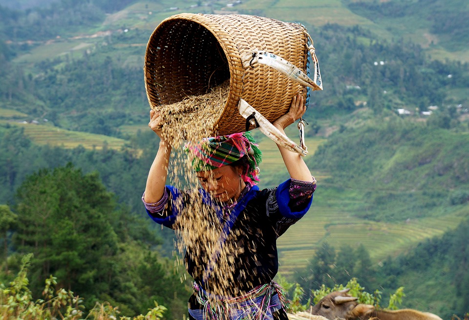 Colors of Ethnics - North Vietnam - 18 Days